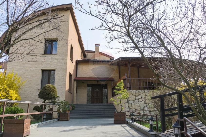 Vilă spectaculoasă de vânzare în Făget - 10