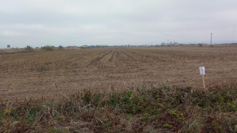 Teren de casa 500mp in Brasov - 4