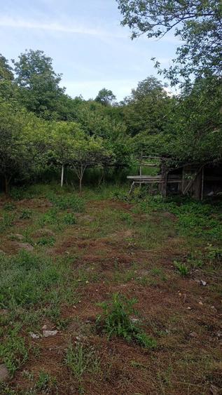 Casa cu gradina in Comlod jud Bistri?a Nasaud - 5