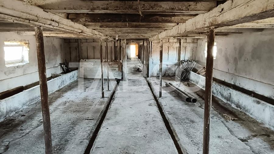 Microferma cu locuinta de vanzare in Pianu de sus - 6