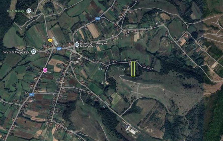 Teren Construcții intravilan de 5995 mp, în Șumugiu