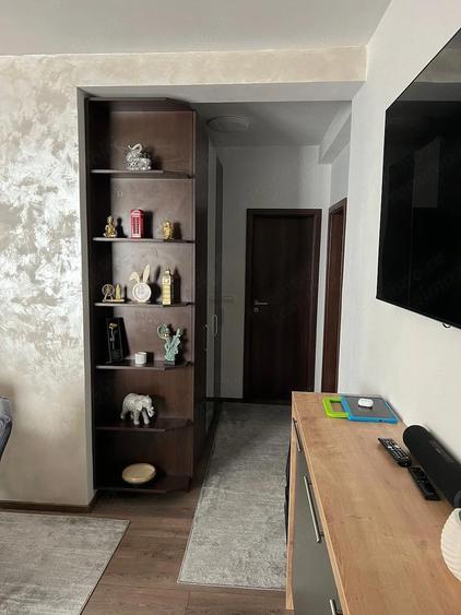 Apartament cu 2 camere DECOMANDAT, CURTE Calea Sagului - 3