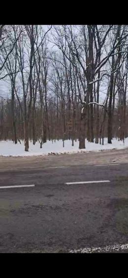 Teren langa sosea - 2