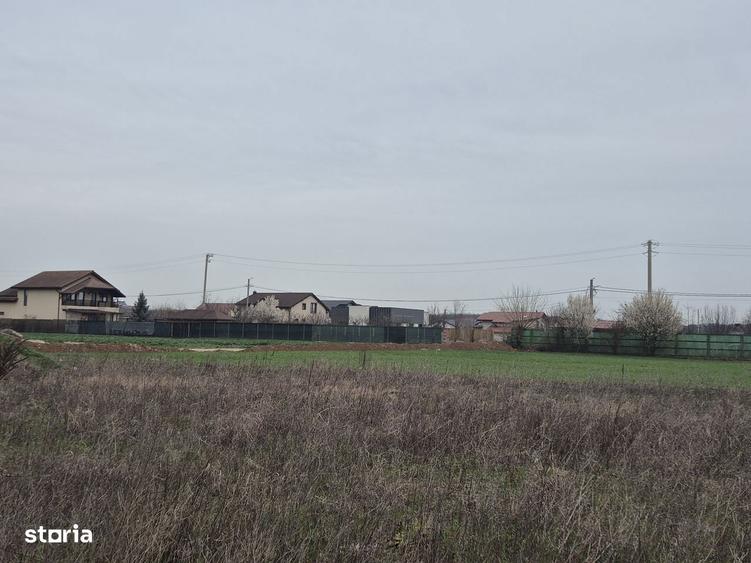 Lot Balotesti,electricitate,gaz,canalizare,apa curenta la teren - 8