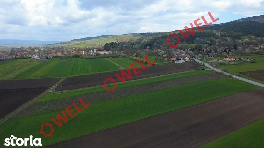 Teren intravilan de vanzare in Bicfalau! - 8