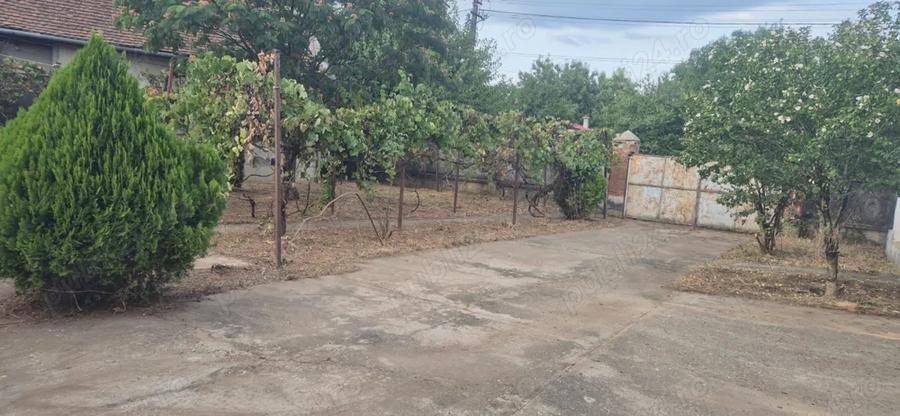 Vand casa in Sculia,Ora?ul Gataia,Jud Timi? (2158mp) - 7