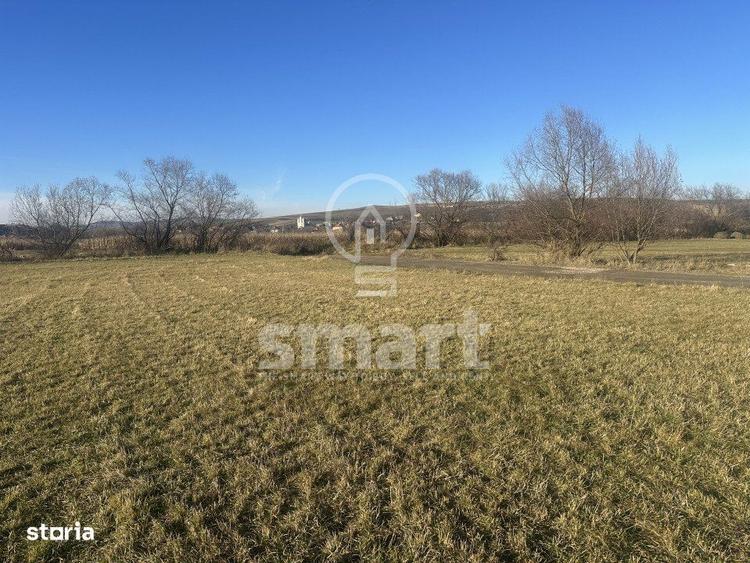 Teren intravilan cu priveliste spectaculoasa Petresti de Jos Cluj - 3