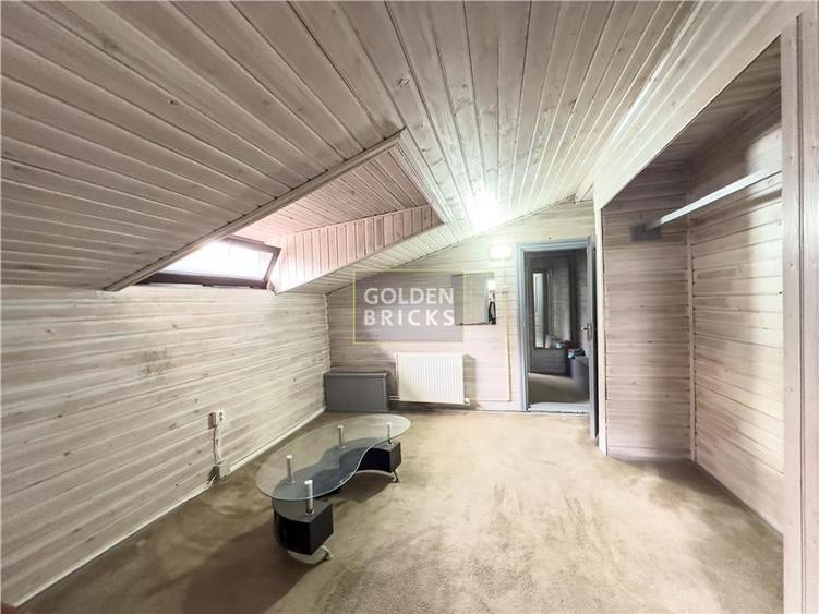 Pache Protopopescu | PROTV | Vizibilitate |  Curte 250 mp | Garaj - 20