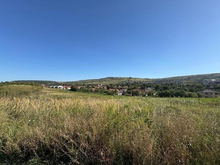 Teren intravilan de vânzare în Chinteni – ideal pentru construcții rezidențiale - 2