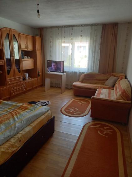 Vand casa Ioanis jud. Bihor, com Finis - 16