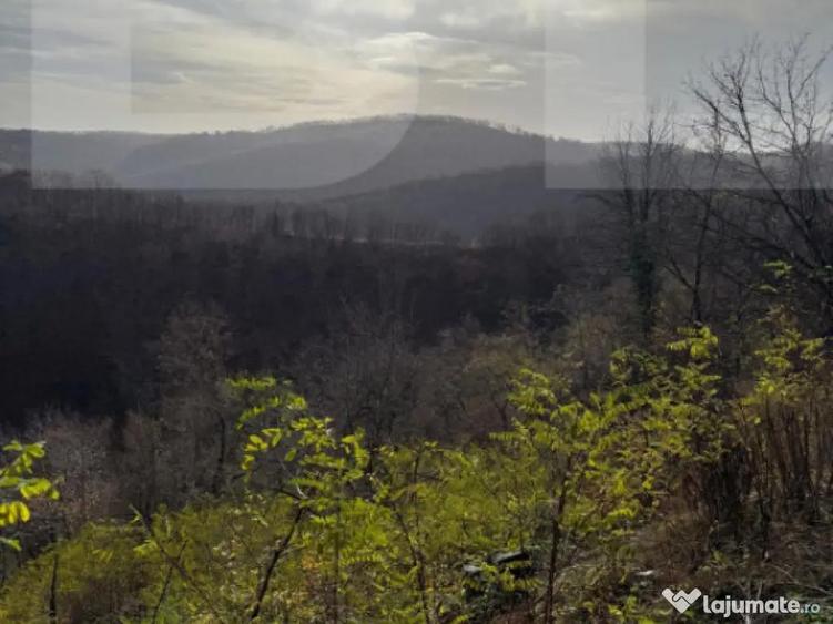 Teren extravilan impadurit, 8271 mp ideal pentru investitie. - 5