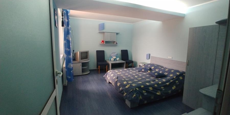 Vila/Pensiune,casa administrator,teren plat 2000Mp - 8