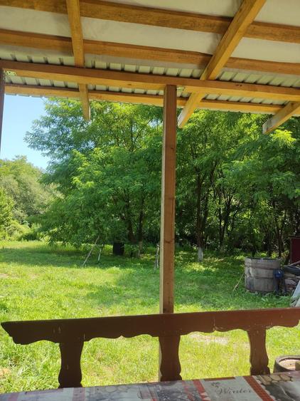 Vand casa la tara - 5