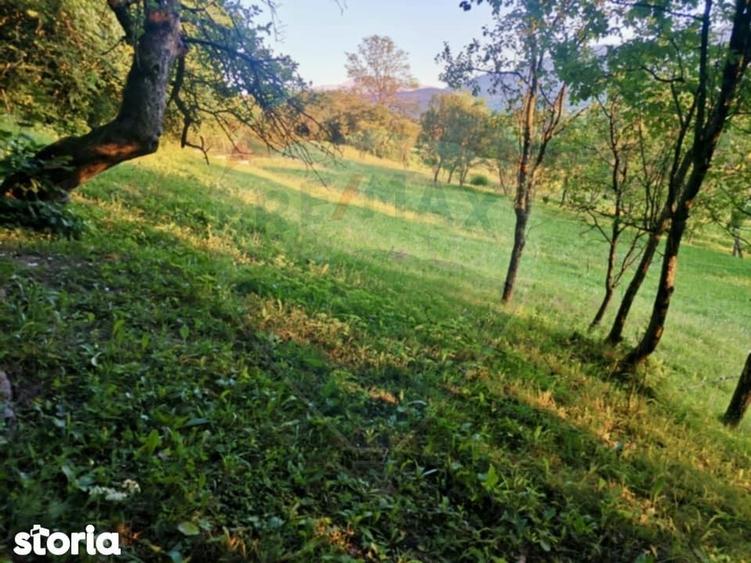 Teren extravilan Breb 6,900mp - 4