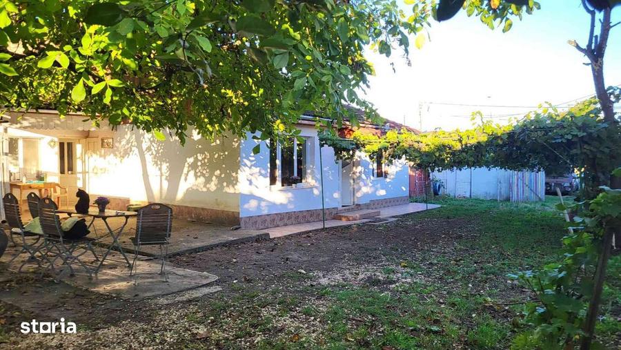 Casa Pestisul Mare la pretul corect. - 8