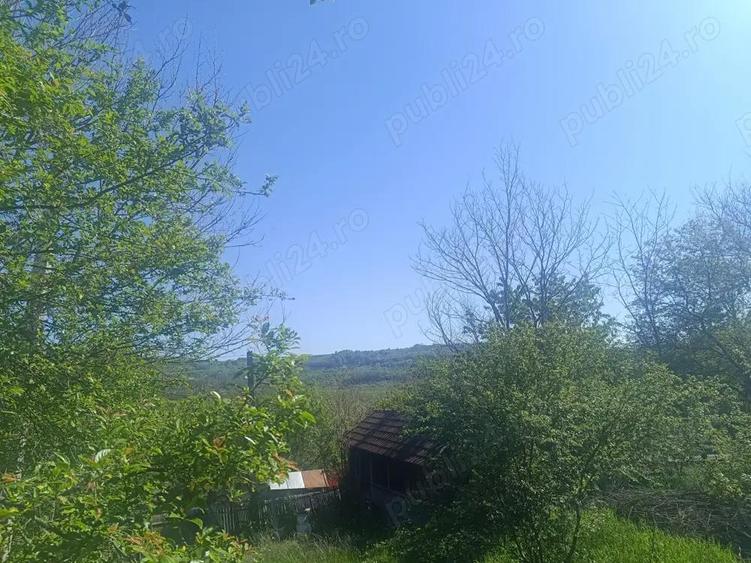 Vand casa cu anexe ?i teren 8900 mp - 3