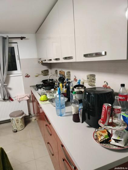 Vand casa Movileni - 2