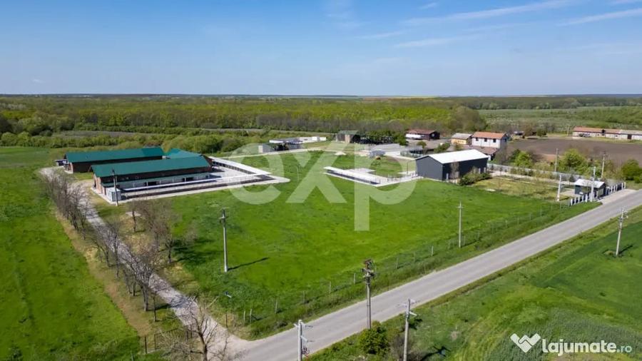 Teren în Crânguri