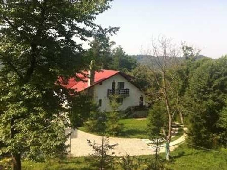 Casă cu 4 camere cu Teren 6200 Mp în Provița de Jos