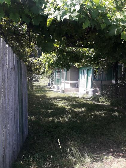 Casă cu 2 camere în Central
