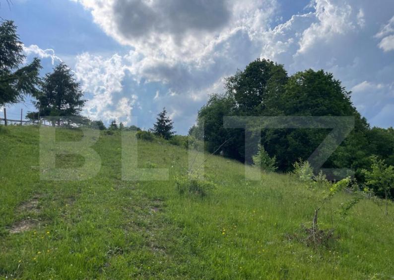 Teren de vanzare, Campulung Moldovenesc, zona Sandru, 2 ha - 6