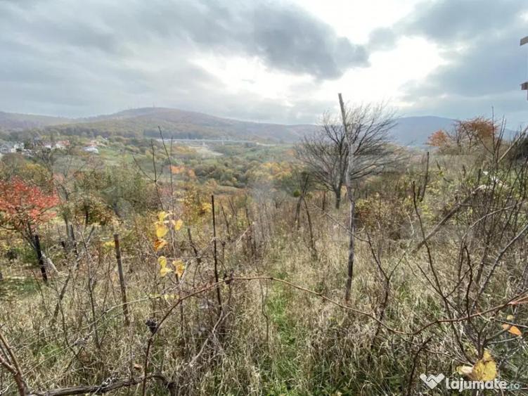 Teren extravilan suparfata 787 mp in zona Bradet - 4