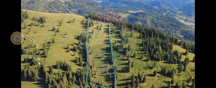 Teren 24,581mp Panaci / Strada Mihaile? - 12