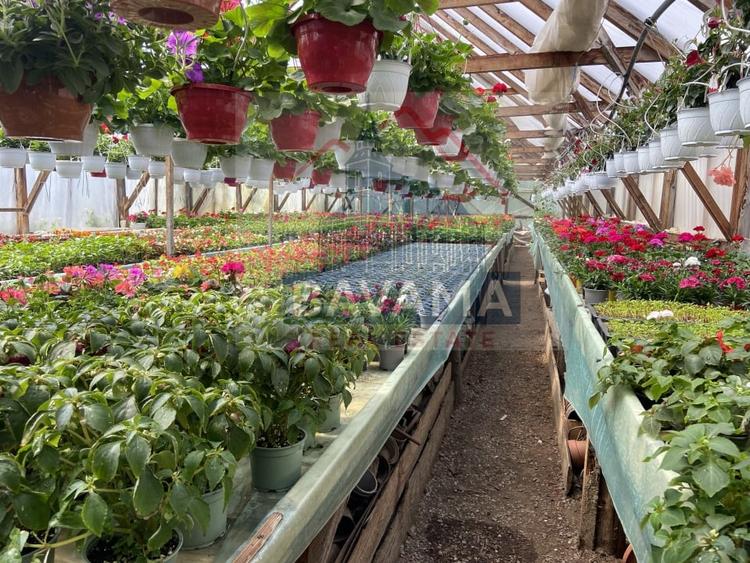 Casa de vanzare,  1354 mp teren,  Tarlungeni - 13