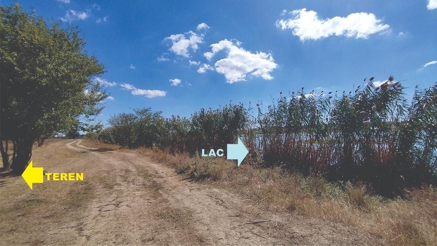 Vanzare teren 4400 mp Snagov - Gruiu, cu deschidere la lacul Snagov - 7