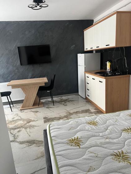 Apartament cu 1 camera - 4