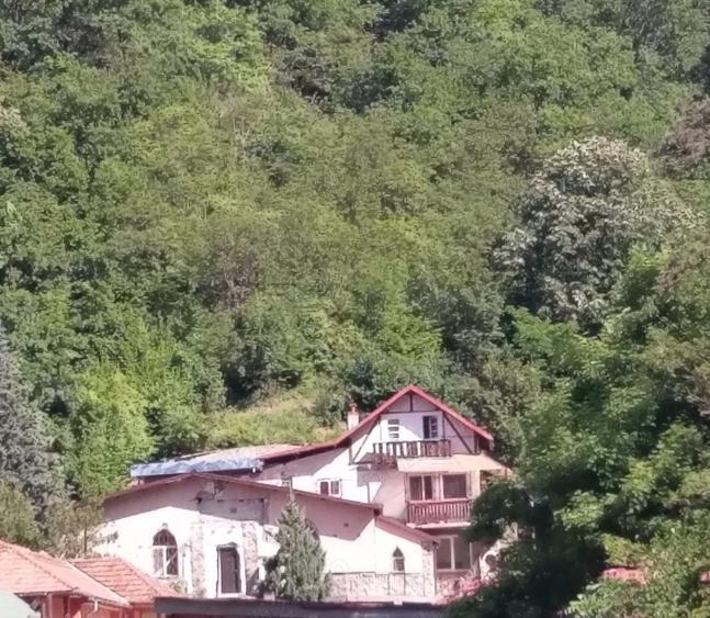 Vila Luminis & Casa Bobi isi cauta noi proprietari - 10
