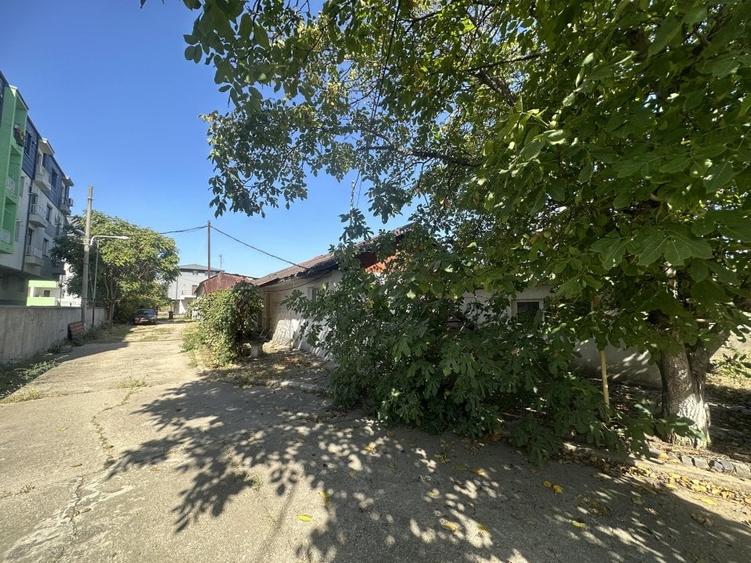 Imobil langa Cora, sos. Alexandriei, P+1+ M, 345mp, anexe 240mp, curte 2450mp - 23