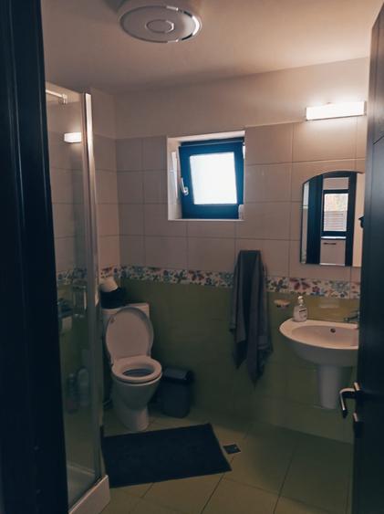 Proprietate Specială Pitești / Bascov - 13