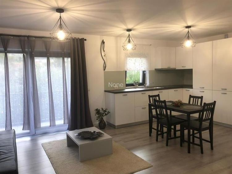 Apartament cu 2 camere semidecomandat, mobilat în Bună Ziua Apartament cu 2 camere semidecomandat, mobilat în Bună Ziua