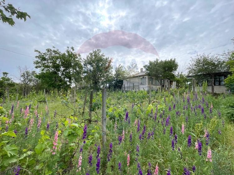 Casă individuală cu 3 camere cu Teren 1692 Mp în Oancea