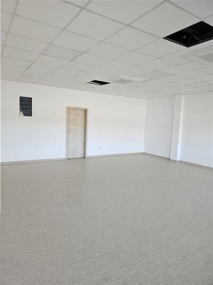 Spatiu Industrial - 5000 mp - Logistica - Productie - Depozitare - Distributie - 9