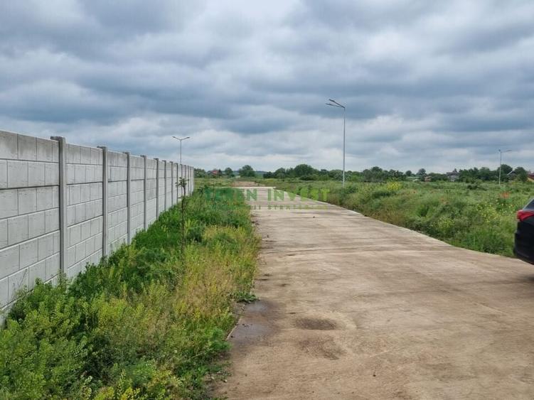 Proprietar ofer spre vanzare loturi teren - DN 4 Popesti-Frumusani - 6