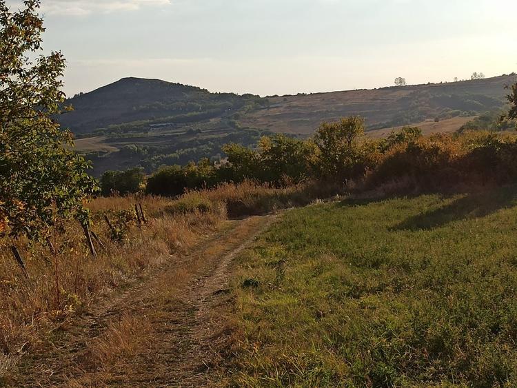 Teren de 21000 mp, în Jugureni