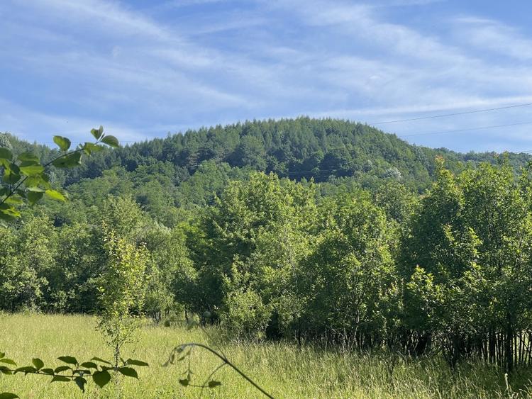 Teren Premium 1559 mp, Brebu Manastirei – Refugiu Montan la 120 km de Bucuresti, - 1