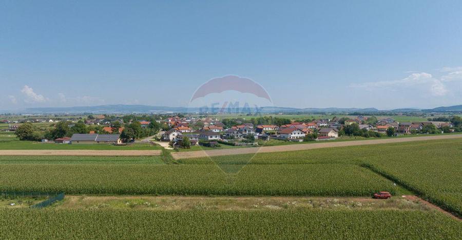 Teren de 1100 mp de vanzare in Stupini - 14