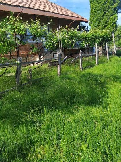 Vand casa si teren - 7