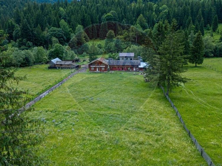 Ferma de vanzare, teren 21436 mp intravilan, Cosnea, Agas - 5