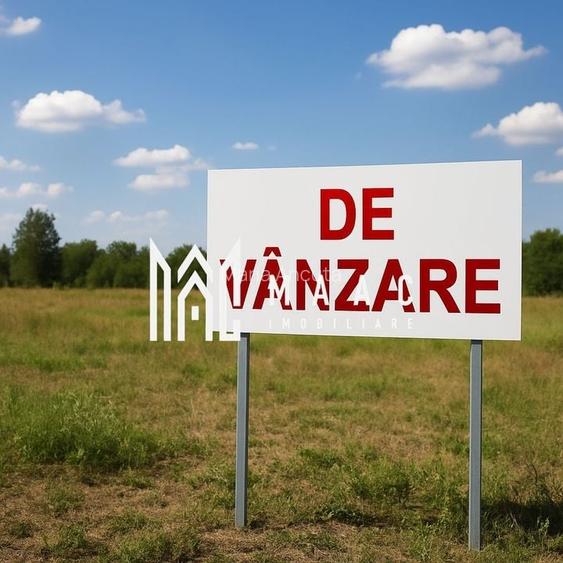 Teren Intravilan | 7.000 MP | Lângă DN1, Sibiu - Brașov