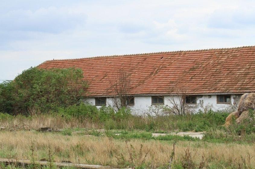 Ferma Zootehnică Mixtă – Cernateaz, Timiș | 9,5 ha | Hale Moderne, Casă 2019, Ut - 5