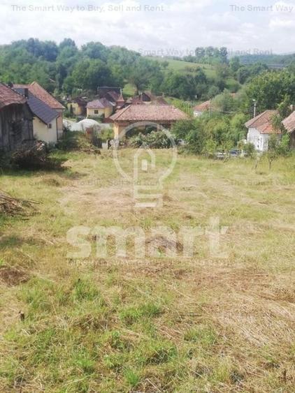 Teren intravilan cu CF 5400mp front 17 Savadisla jud Cluj - 4