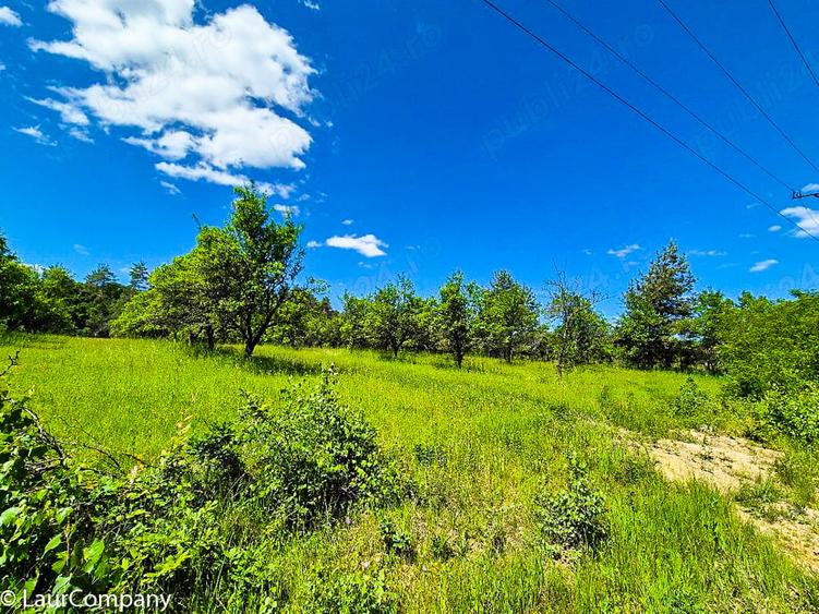 Teren intravilan Cotmeana Arges - 7