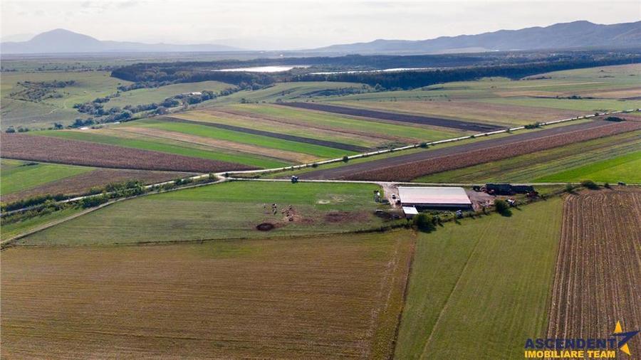 FILM! 18.000 mp,extravilan,agricol+constructii, recomandat:ferma,investitii agricole,Rotbav,Brasov - 3