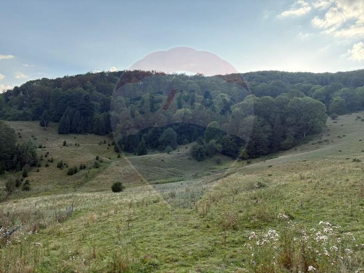 TEREN EXCLUSIV PENTRU INVESTIȚIE ÎN ZONĂ DE AGREMENT – BRAȘOV, DN 1E - 5