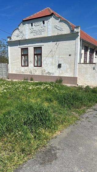 Proprietate generoasa, teren 6000 mp ideala pentru familie extinsa sau investi?ie - 2