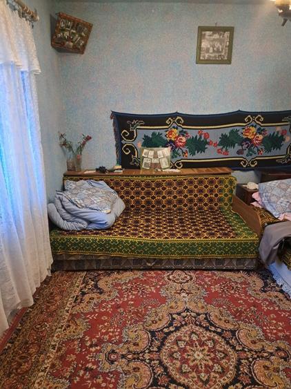 Vand casa cu 2500 metrii patrati de curte plus dependente - 3